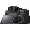 Sony Alpha a7R IVA Mirrorless Digital Camera (Body)
